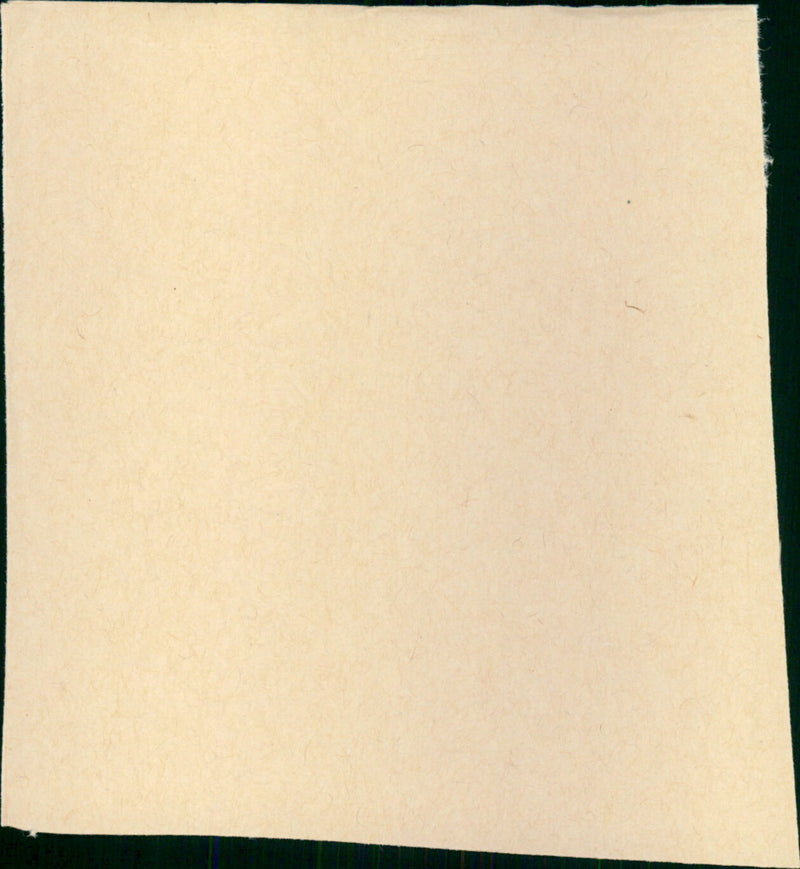 La petite voleuse - Vintage Photograph