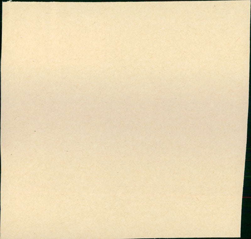 Nothing Sacred - Vintage Photograph