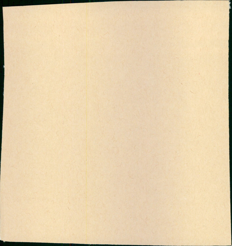 Nowhere to Run - Vintage Photograph