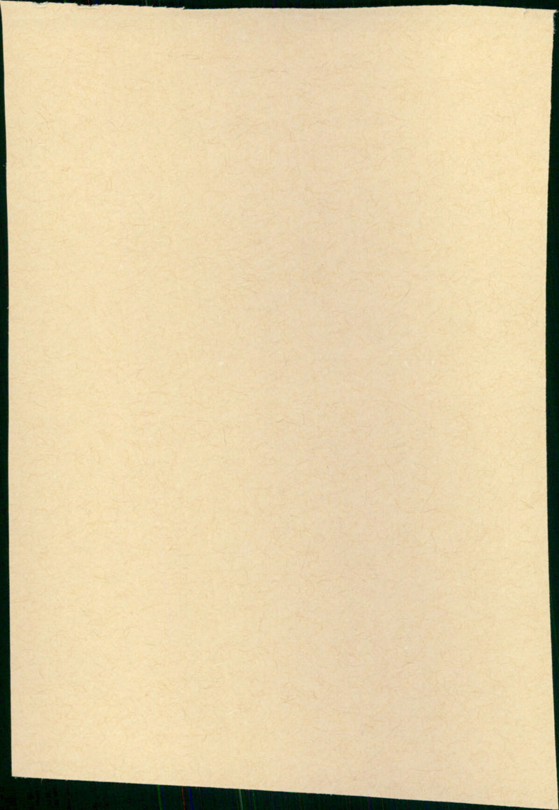 Nowhere to Run - Vintage Photograph