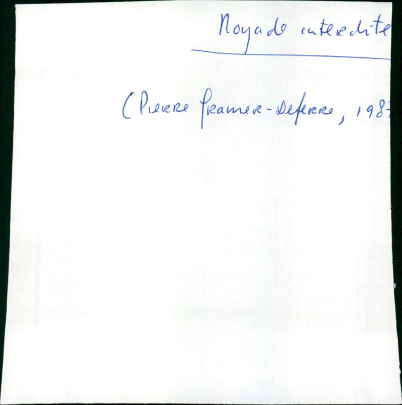 Noyade interdite - Vintage Photograph