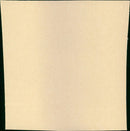 Noyade interdite - Vintage Photograph