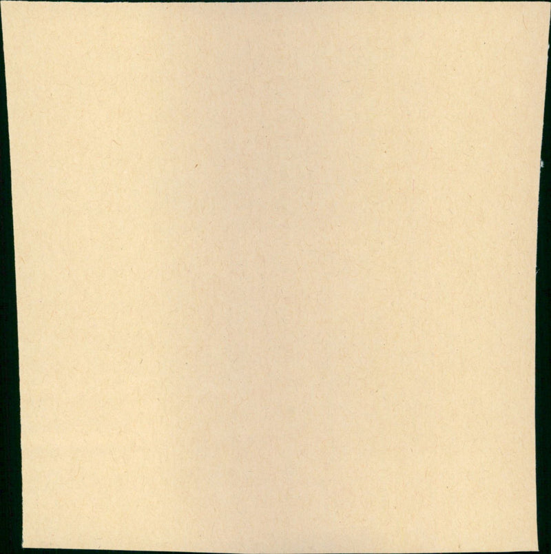 Noyade interdite - Vintage Photograph