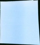 In der Heimat - Vintage Photograph