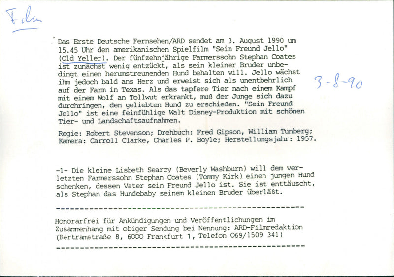 Old Yeller - Vintage Photograph