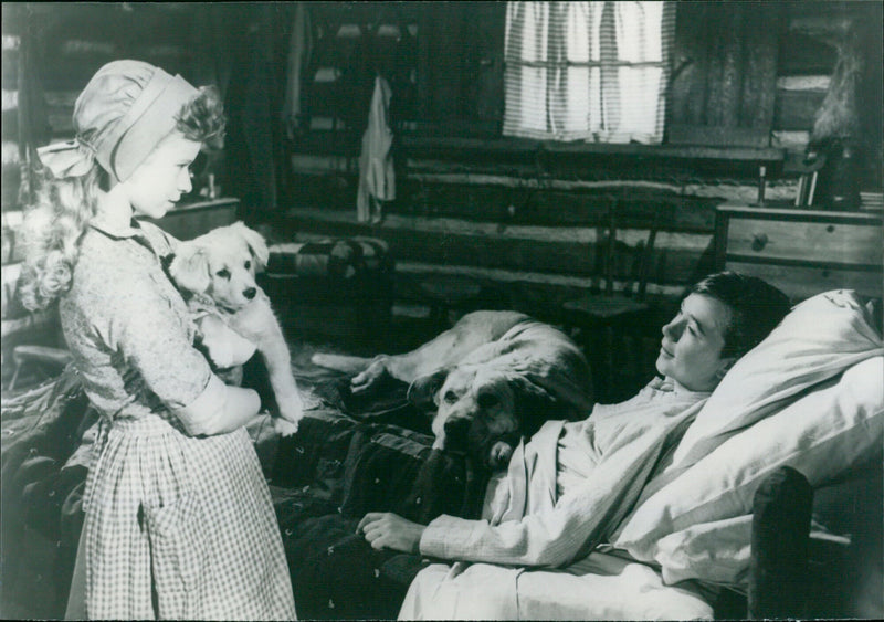 Old Yeller - Vintage Photograph