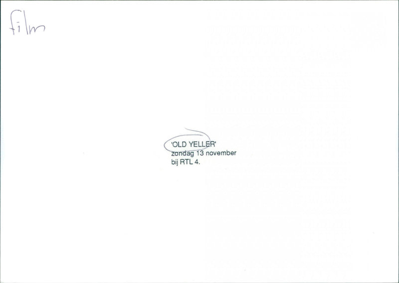 Dog - Old Yeller - Vintage Photograph