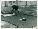Winston Churchill's grave - Vintage Photograph
