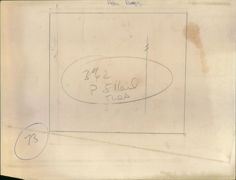 Ayshea Brough - Vintage Photograph