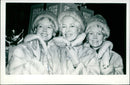 The Beverley Sisters - Vintage Photograph