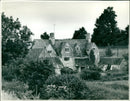 House in a countryside - Vintage Photograph