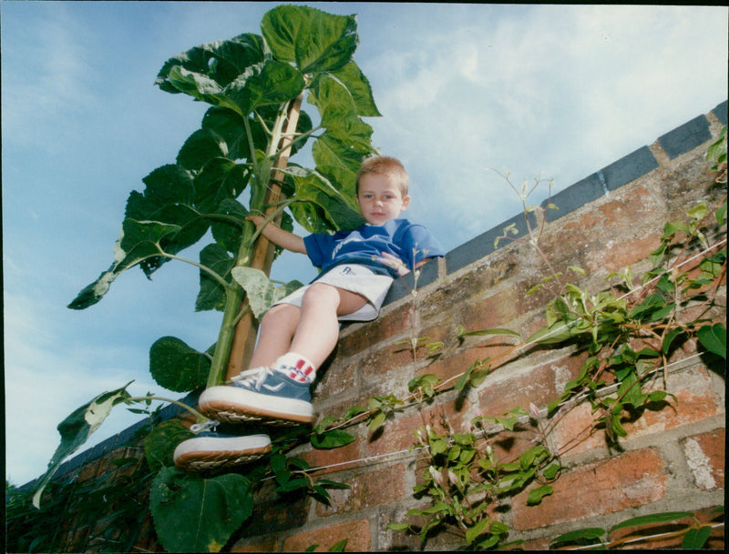 Nicholas Boczkariw - Vintage Photograph