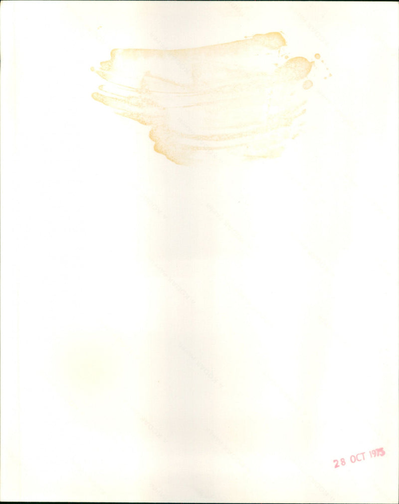 Ayshea Brough - Vintage Photograph