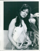 Ayshea Brough - Vintage Photograph