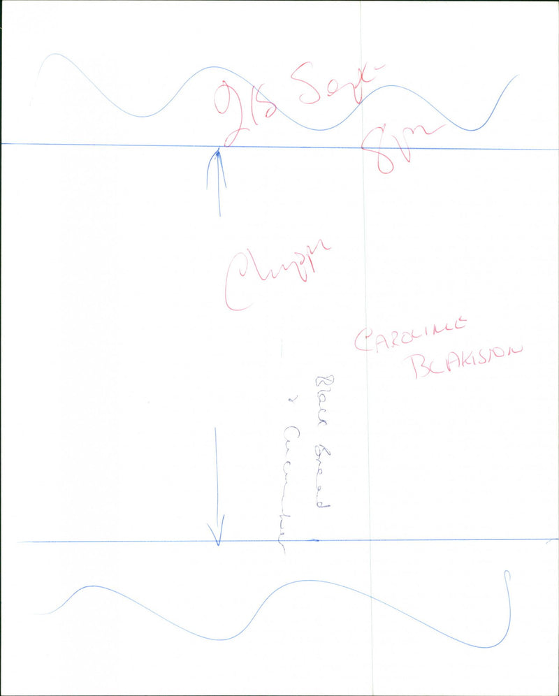 Caroline Blackiston - Vintage Photograph