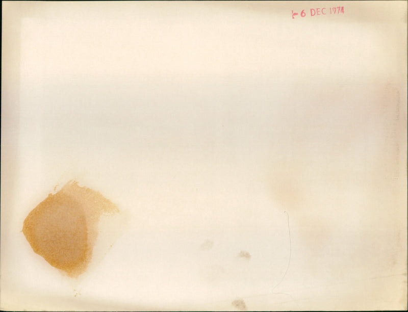 Ayshea Brough - Vintage Photograph