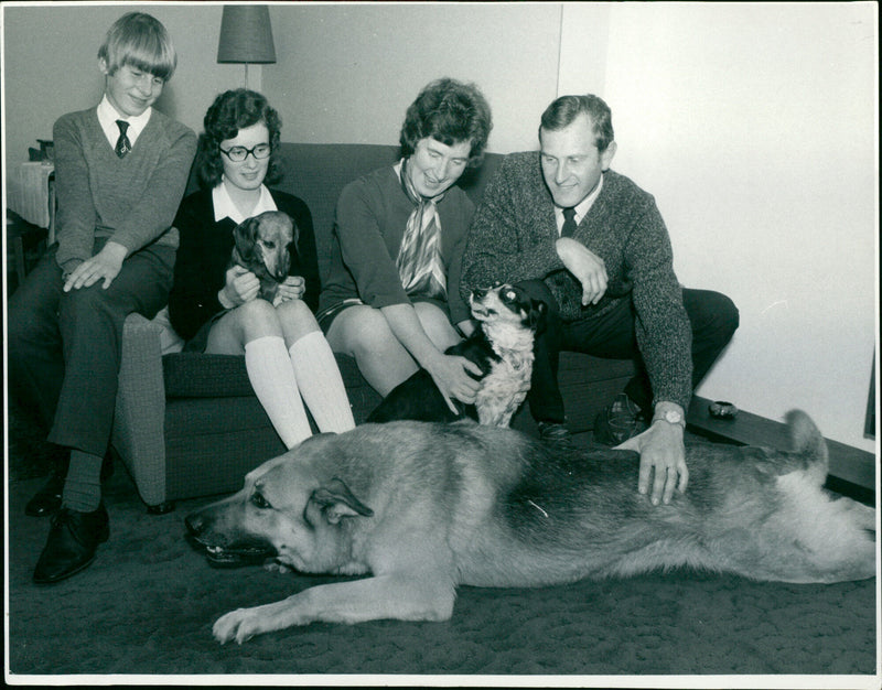 Police Dogs - Vintage Photograph