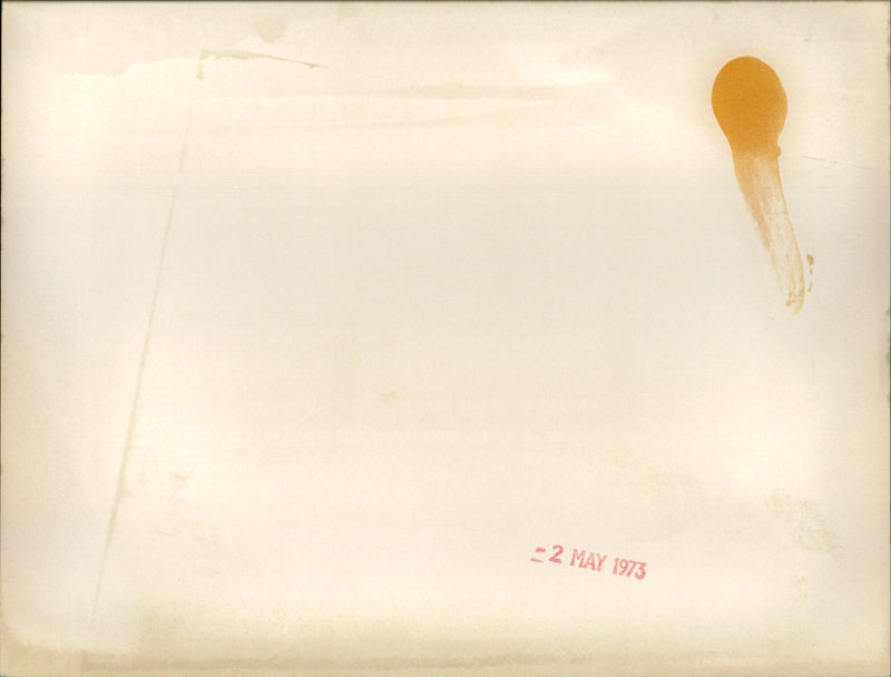 Ayshea Brough - Vintage Photograph