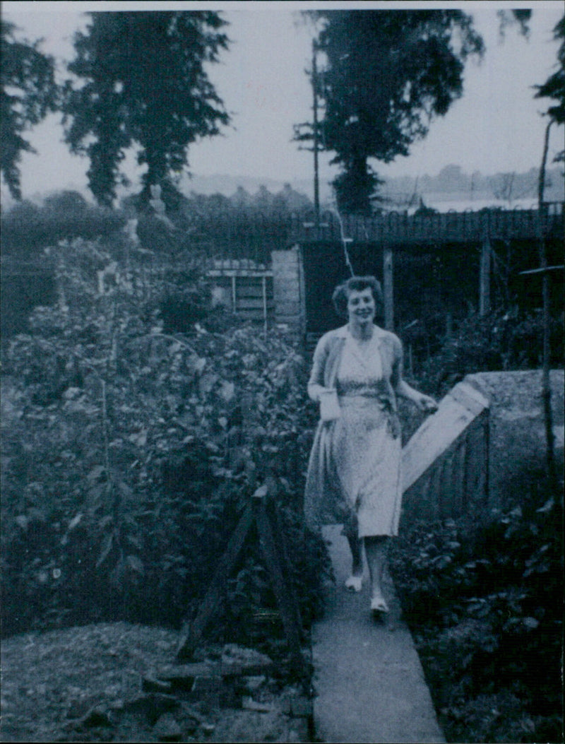 Sheila Tree - Vintage Photograph