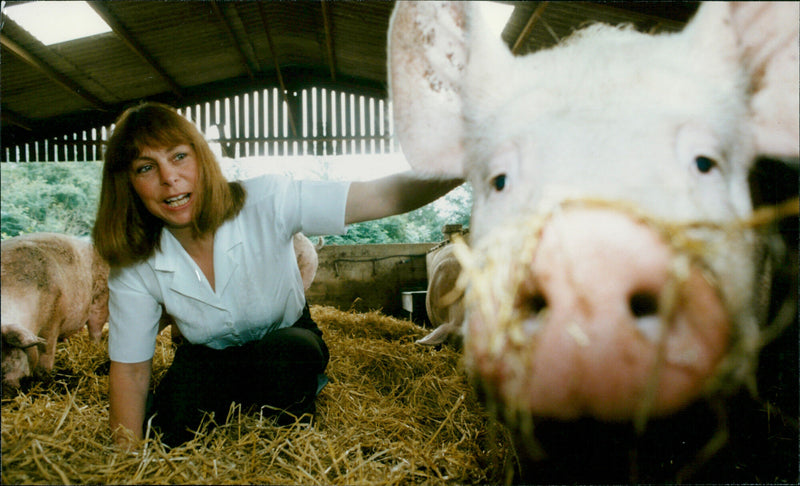 Jane Bowler - Vintage Photograph