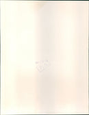 Boomtom Rats - Vintage Photograph