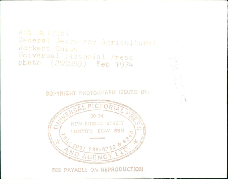 Reginald Bottini - Vintage Photograph