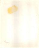 Dirk Bogarde - Vintage Photograph