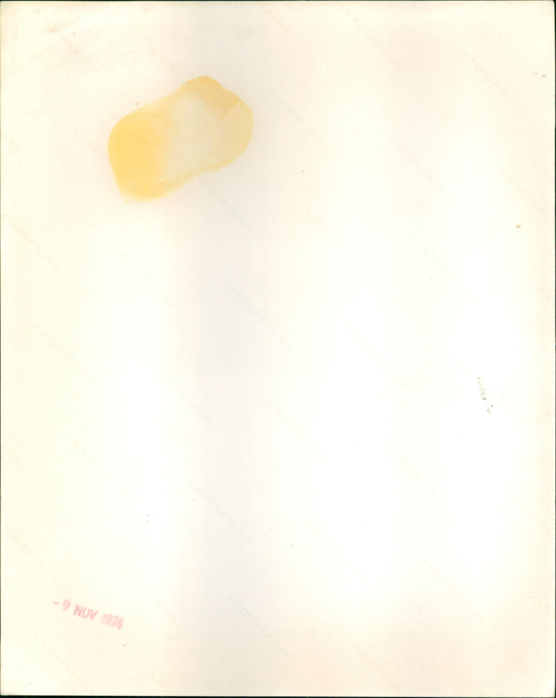 Dirk Bogarde - Vintage Photograph