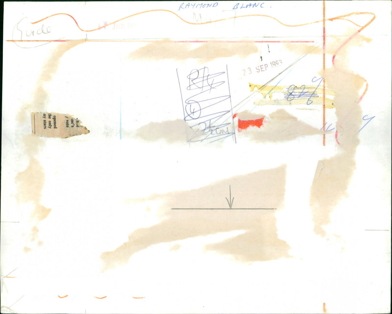 1993 RAYMOND BLANC - Vintage Photograph