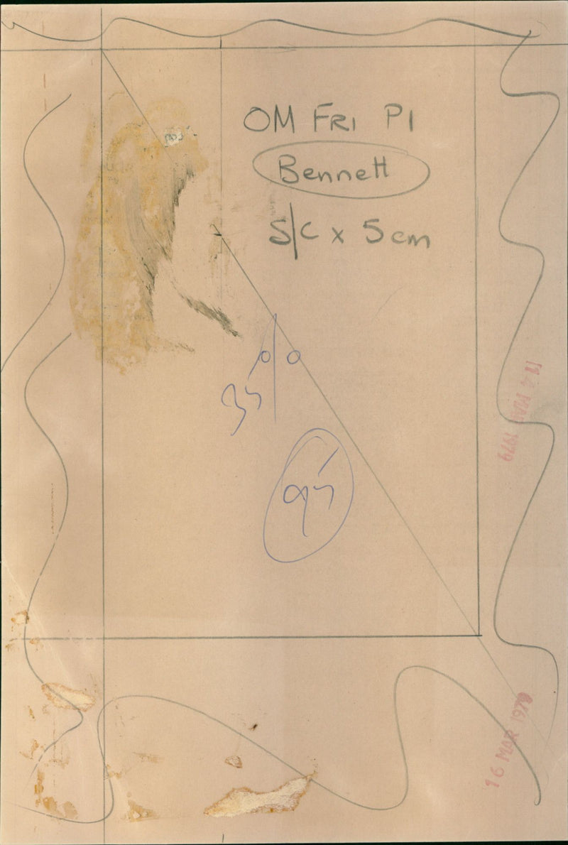 Judge Harry Bennett - Vintage Photograph