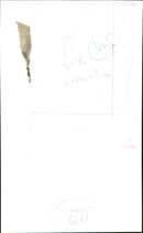 Rev. James Bell - Vintage Photograph