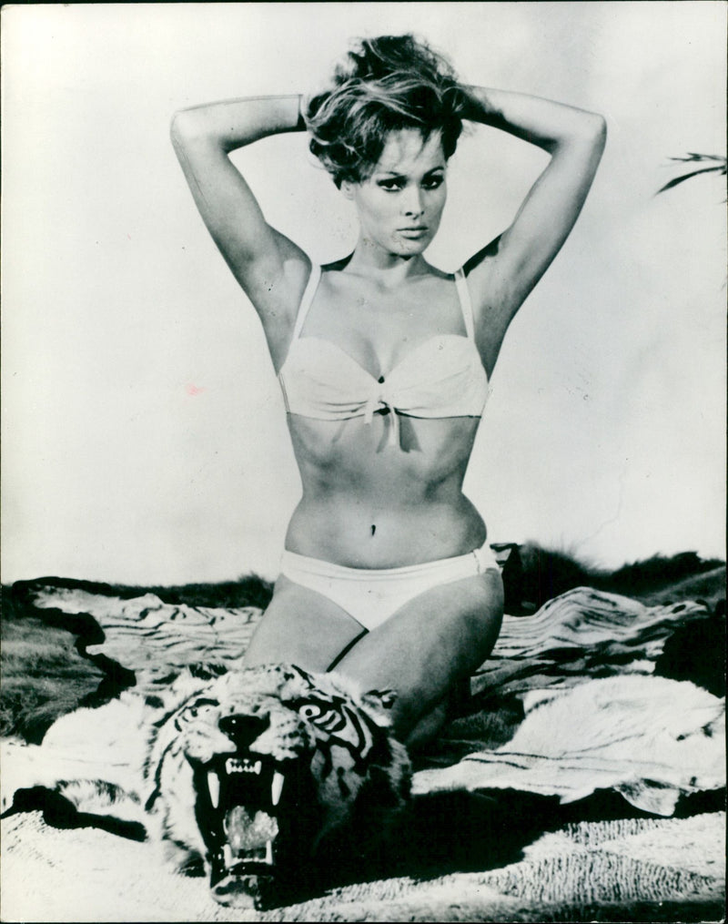 Ursula Andress - Vintage Photograph