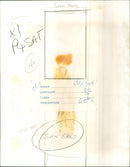 Joan Baez - Vintage Photograph