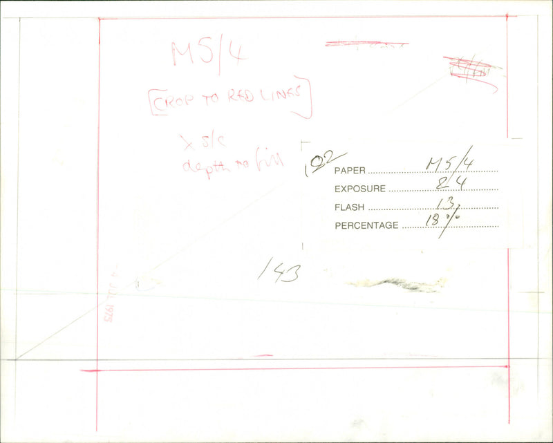 Joan Baez - Vintage Photograph