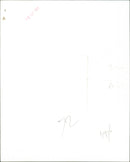 The Animals - Vintage Photograph