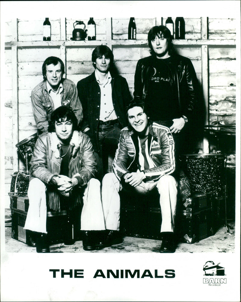 The Animals - Vintage Photograph