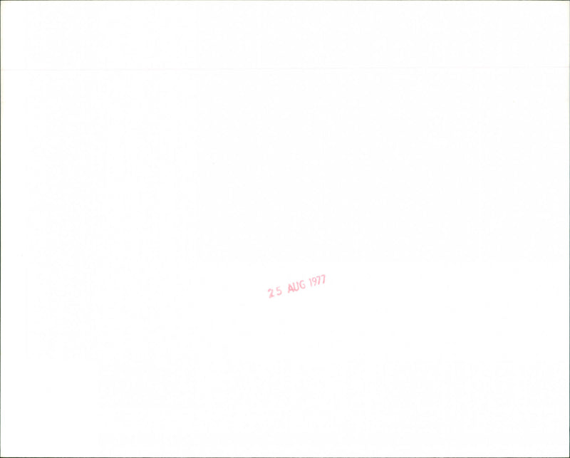 Roy Buchanan - Vintage Photograph