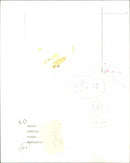 Marti Caine - Vintage Photograph