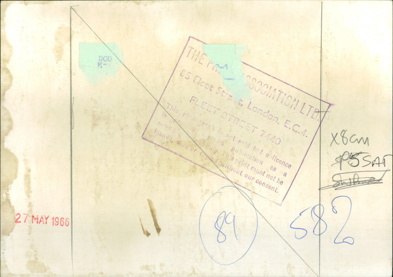 Ursula Andress - Vintage Photograph