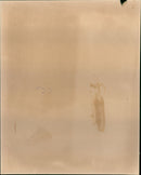 Princess Anne - Vintage Photograph