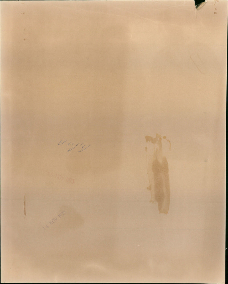 Princess Anne - Vintage Photograph