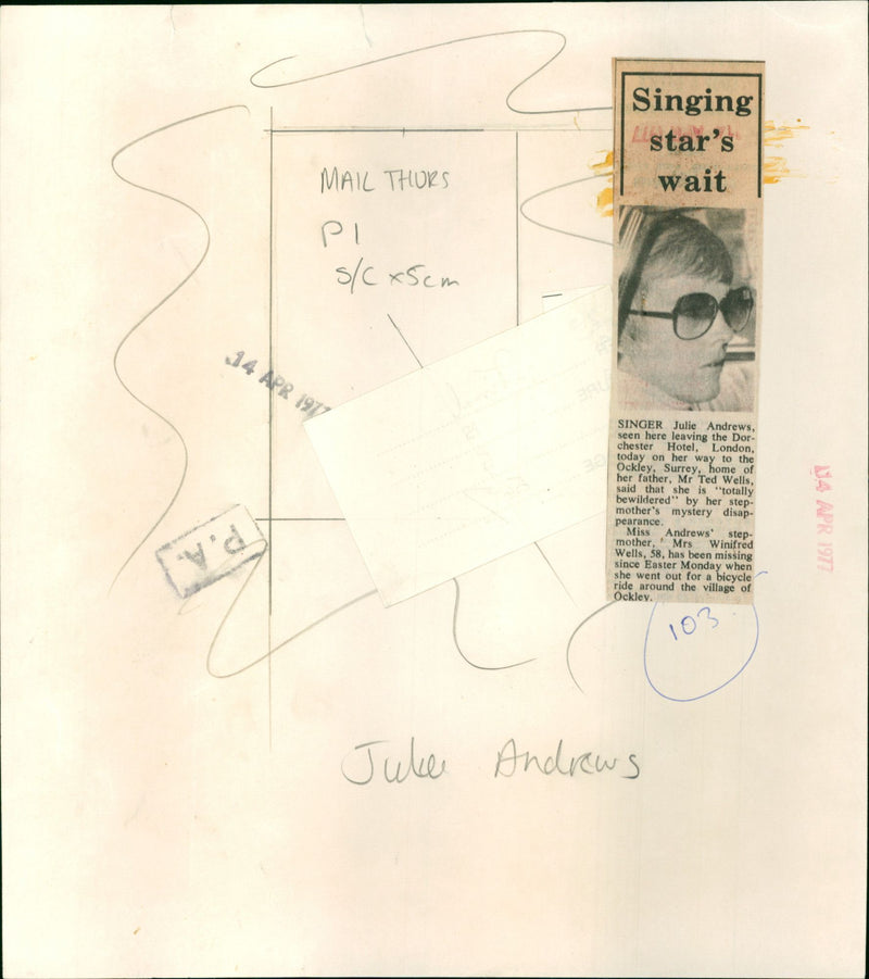 Julie Andrews - Vintage Photograph