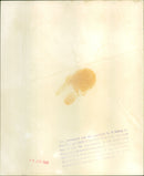 Yul Brynner - Vintage Photograph