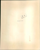 Princess Anne and her baby - Vintage Photograph