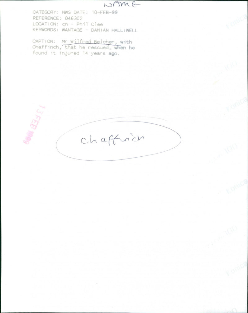 Wilfred Belcher Holding a Chaffinch - Vintage Photograph