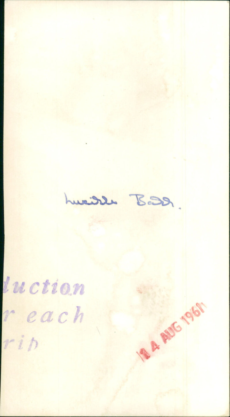 Lucille Ball - Vintage Photograph