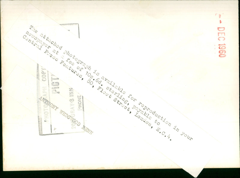 Anthony Wedgwood Benn M.P. - Vintage Photograph