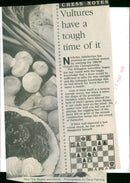 Mrs. Tina Begley - Vintage Photograph