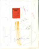 Julie Andrews - Vintage Photograph