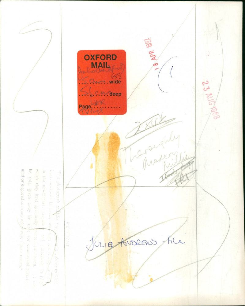 Julie Andrews - Vintage Photograph